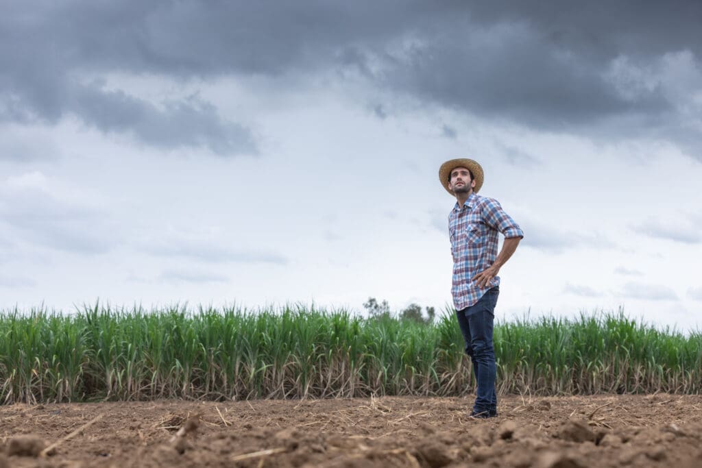 Farmer Checking the Soil Condition